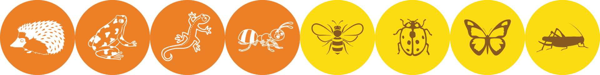 FrisePastille_orange_jaune